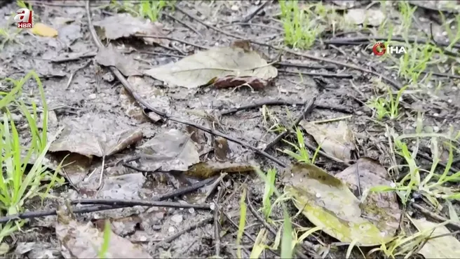 İstanbul’da kar yağışı başladı