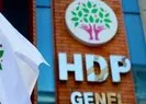 HDP terörü besliyor! Teslim olan terörist bir bir anlattı