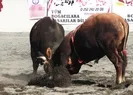 Salgın sonrası ilk kez!