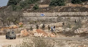 İşgalci İsrail Batı Şeria’da 135 zeytin ağacını söktü