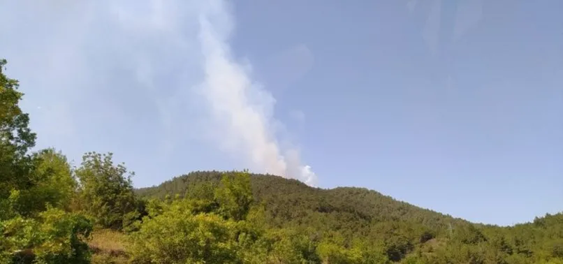 Samsun Bafra Da Korkutan Orman Yangini