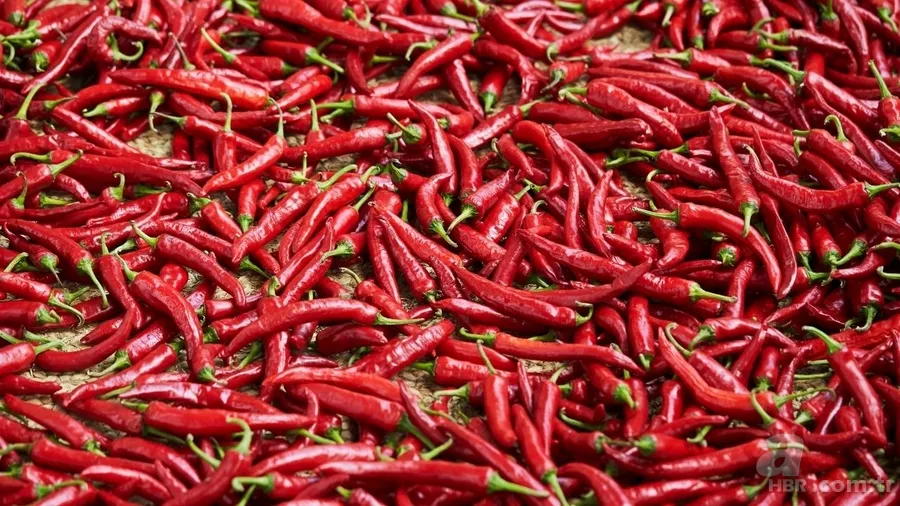 İnsanlar neden acı yemeyi sever? Bilim insanları açıkladı 1