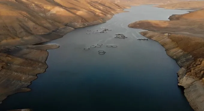 Zebra midyeler Türkiye’yi 10 yılda istila etti, balıkçılık için büyük sorun olacak - 5