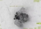 44 terörist nasıl öldürüldü?