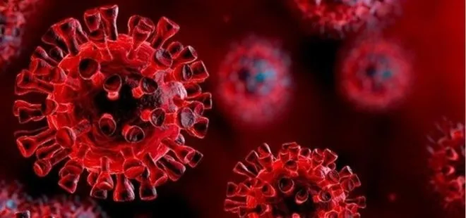 Koronavirüsün bir yan etkisi daha ortaya çıktı: Böbrek sorunları ve yetersizliği riskini yüzde 35 artırıyor