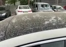 O halde görünce ne yapacaklarını şaşırdılar!
