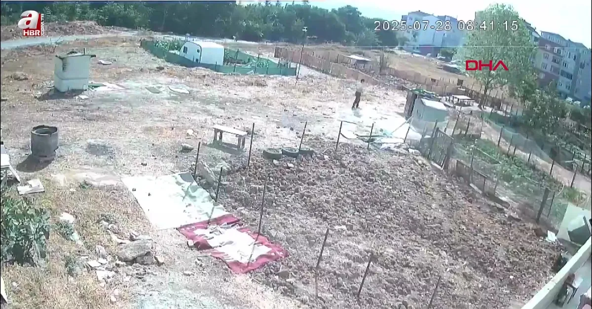 Esenyurt'ta köpek işkenceyle öldürüldü