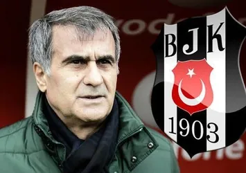 Şenol Güneş sert çıktı: Futbol hayatı biter!