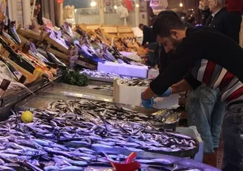El yakan hamsiye büyük talep