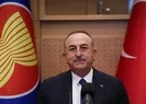 Son dakika: Bakan Çavuşoğlu ASEAN Ankara Grubu büyükelçileri ile bir araya geldi! Dikkat çeken Türkiye mesajı