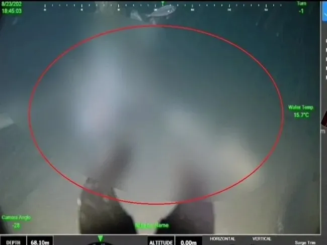 halit-yukayin-cesedi-icin-yeni-plan-vucut-butunlugunun-bozulmamasi-icin-ozel-bir-operasyonla-cikarilacak-1756033037574.jpeg Halit Yukay'ın cesedi için yeni plan: Vücut bütünlüğünün bozulmaması için özel bir operasyonla çıkarılacak - 5