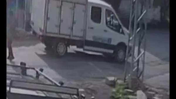 İBB'nin bu canlılarla alıp veremediği ne? İğne vurup ölüme terk ettiler - 3