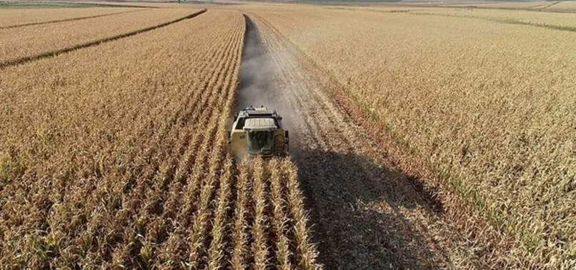Hükümetten milyonlarca çiftçinin yüzünü güldüren adım! Hasat sigortası başladı