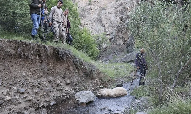 Gömerken drone kamerasına yakalandı! Ahıra girip...