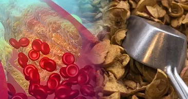 Tıkalı damarları 1 haftada açıyor! Yüksek kolesterolü düşüren mucize yiyecek...