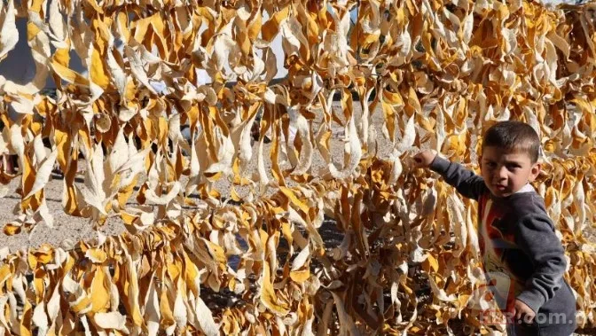 Türkiye'de pek bilen yok ama Avrupa kapış kapış alıyor! Ne olduğunu gören şaşkına dönüyor: Kozmetik ve ilaç sanayisinin gözdesi 7