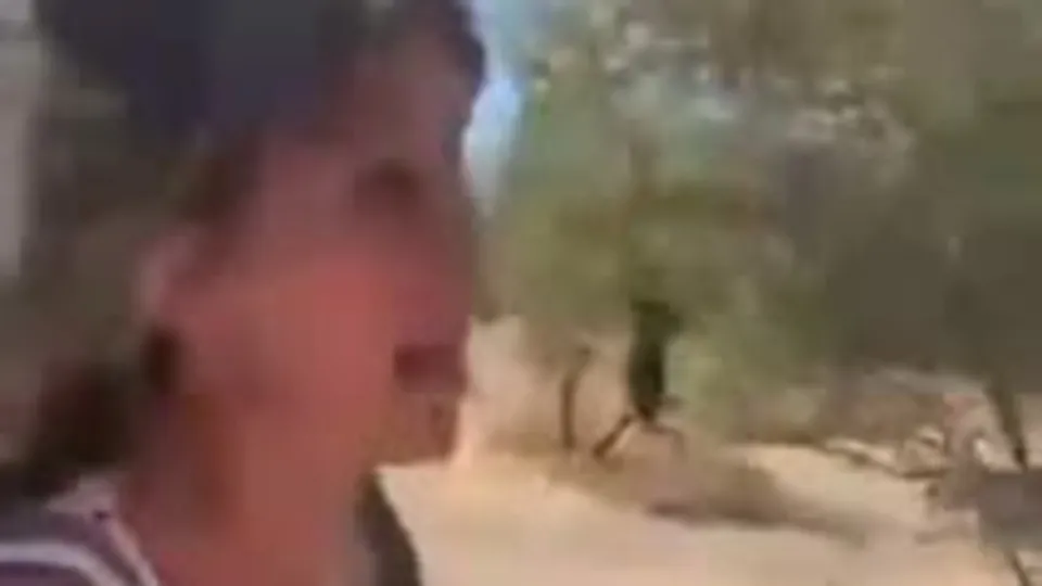 CHP’li belediyeden büyük skandal! Kedi ve köpekler ölüme böyle terk edildi!