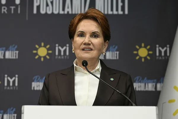 1701767443988.jpg Eski İYİ Partili Vedat Yenerer'den Akşener ve İYİ Parti'ye büyük salvolar: HDP'lilerle kucaklaşan dolar milliyetçileri... - 4