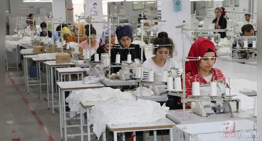 Yaptığı bu hata 18 yıllık kıdem ve ihbar tazminatını yaktı! Tüm çalışanları ilgilendiren karar 9