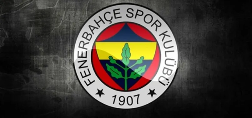 Gregory van der Wiel özür diledi