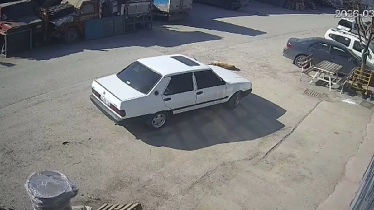 Vicdan sızlatan görüntü! Köpeği ezip arkasına bakmadan kaçtı