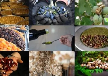 Coğrafi işaret tescilinde lider Gaziantep oldu