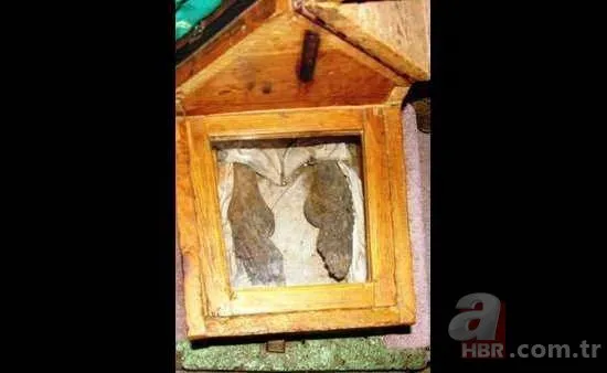 bilim insanlari sokta kucuk kizin