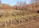 Gören şaşıp kalıyor