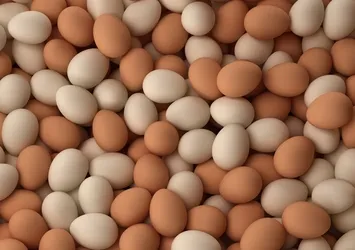 Köy yumurtası hilesi sona eriyor
