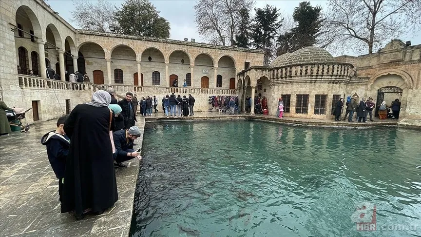 Balıklıgöl Hikayesi | Balıklar neden yenmiyor? Hz. İbrahim'in Balıklıgöl kıssası gerçek mi? Kur'an-ı Kerim'de anlatılıyor mu? 9