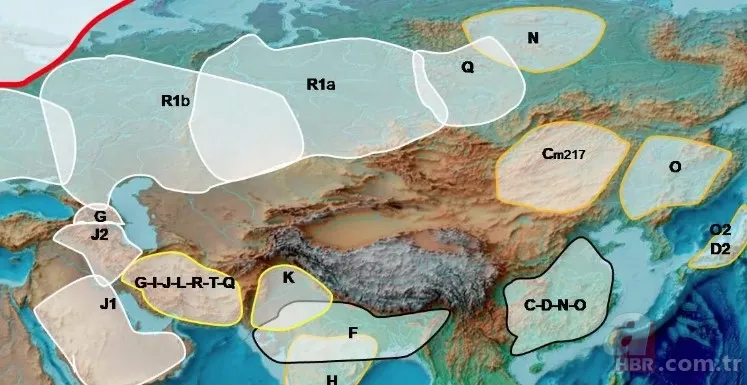 Türklerin kökeni nereden geliyor, İLK TÜRK kim? Soy Ağacı Ortaya Çıktı! Şehir şehir liste... 16