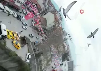 Tokat'ta güvercinler drona böyle çarptı