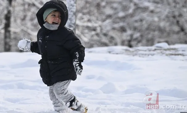 Valilikler peş peşe duyurdu! Eğitime kar molası: İşte 13 Ocak Salı okulların tatil edildiği iller 2