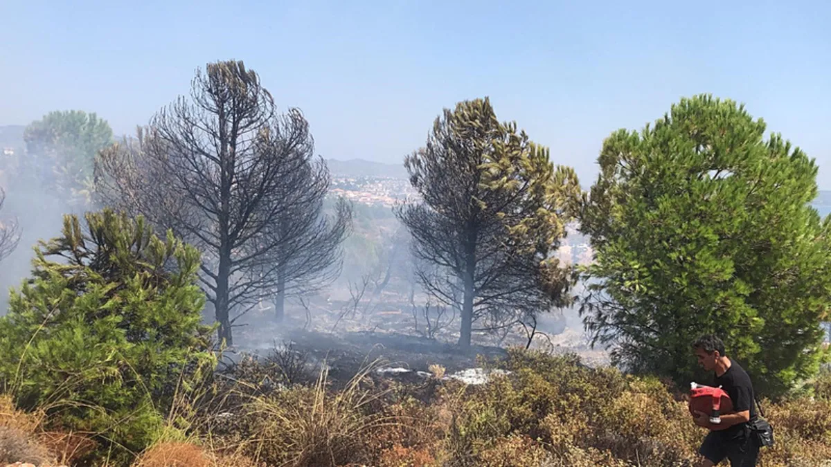 Datça'da makilik alanda çıkan yangın söndürüldü