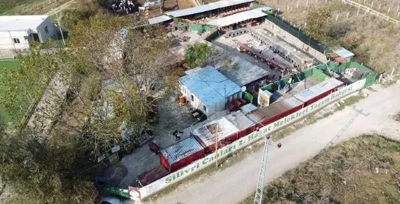 hayvanseverlik-adi-altinda-vurgun-veterinere-gonderilen-paraya-el-koydu-kopekleri-satarak-kazanc-sagladi-1722632782422.jpg Hayvanseverlik adı altında vurgun.