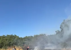 Balıkesir'de anız yangını! İtfaiye ekipleri zamanla yarıştı
