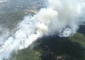 Bursa'daki orman yangınında sabotaj şüphesi