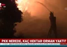 PKK ormanları neden yakıyor?