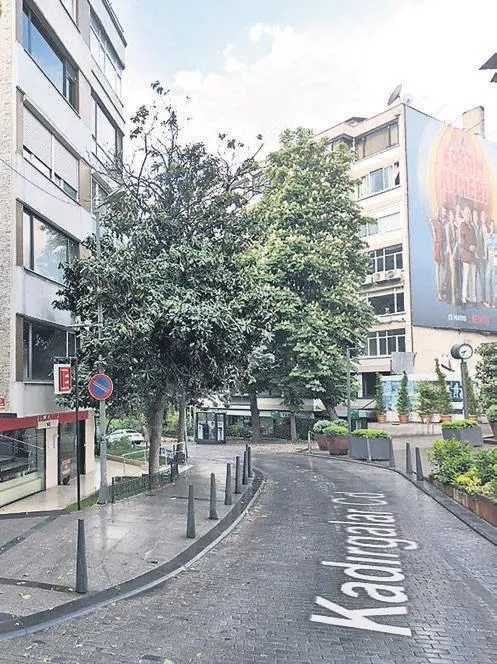 1706767329271.jpeg CHP'li belediyeden asırlık ağaca tabela operasyonu! Yine çevre katliamı yaptılar - 1