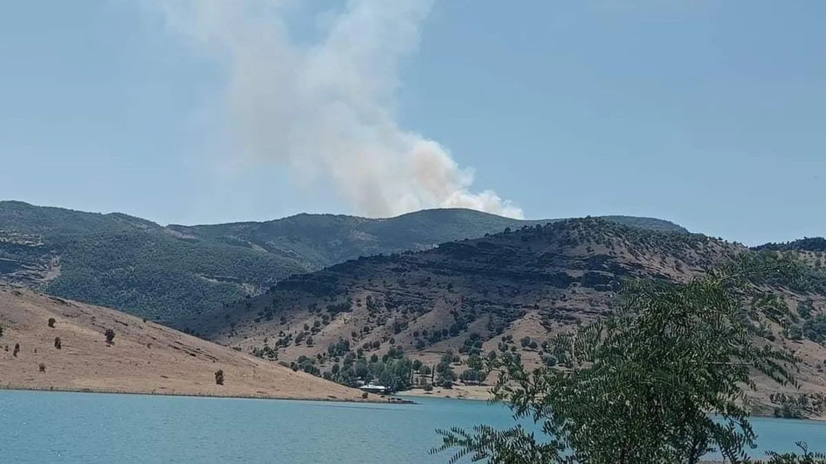 Tunceli’de orman yangını! Alevlere askeri destek...
