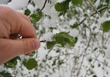 Meteorolojiden zirai don ve sağanak uyarısı