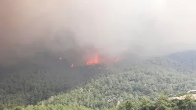 Aydın’da orman yangını
