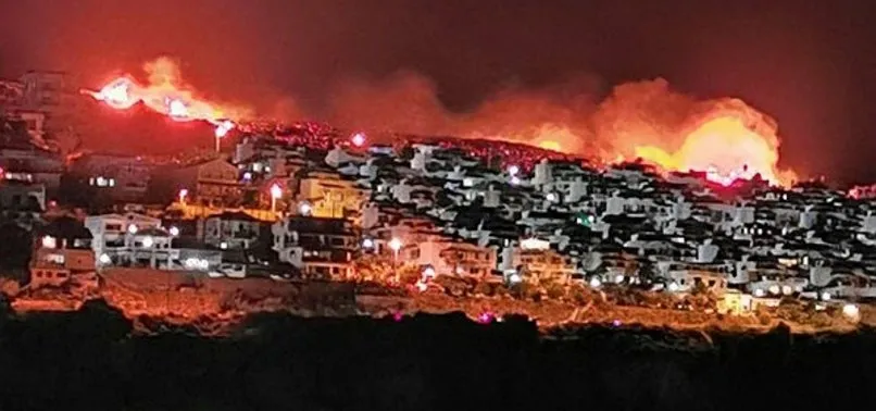 İzmir'de çıkan yangın 2 saatte kontrol altına alındı
