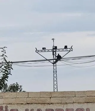 intihar-etmek-icin-direge-cikti-valinin-gelmeyecegini-ogrenince-vazgecti-1633516236726.jpg İntihar etmek için direğe çıktı! Valinin gelmeyeceğini öğrenince vazgeçti - 1