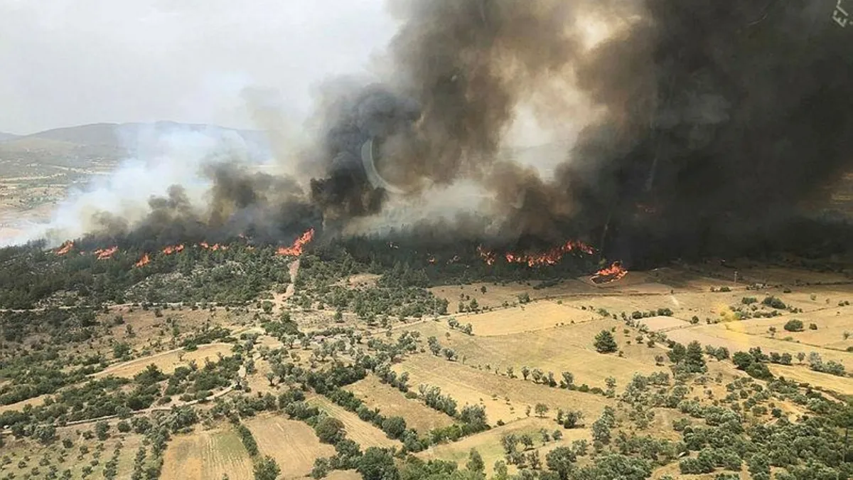 Aydın ve Muğla'da orman yangını! Uçağın burnu su aldığı sırada suya battı | Mürettabatı kurtaran kişi konuştu: Elimizden geldiği kadarıyla onları çıkardık getirdik