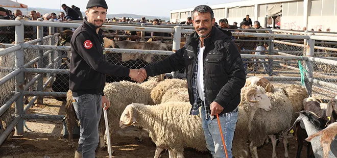 Kurban bayramına geri sayım başladı: İşte küçükbaş ve büyükbaş kurbanlık hayvan fiyatları...