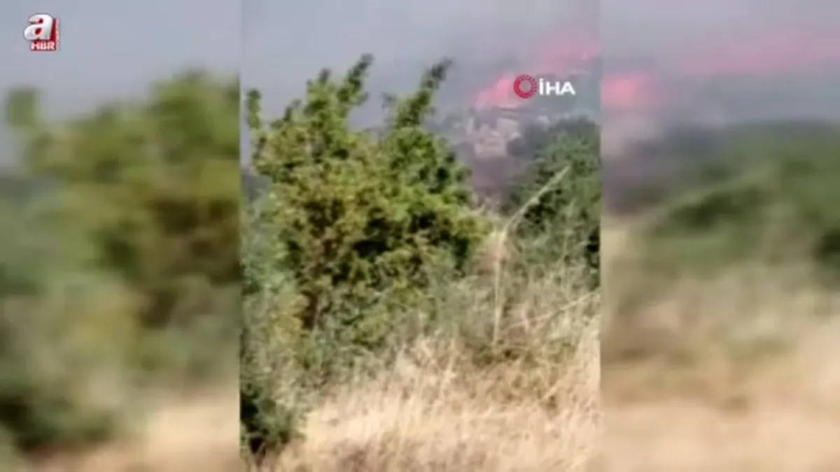 Söke'de zirai alan yangını