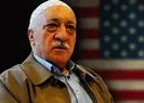 Duyanların midesi bulandı! Ayağına gidip yemişler