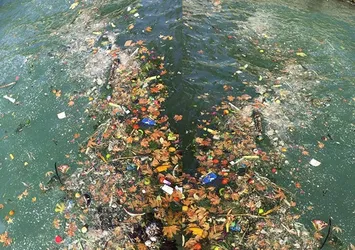 Fethiye'de deniz çöplüğe döndü CHP’li belediye seyirci kaldı