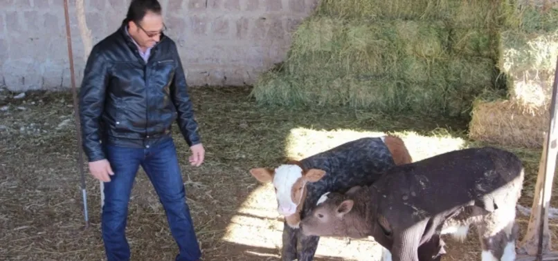 Hayvanları çocukları gibi giydirdi